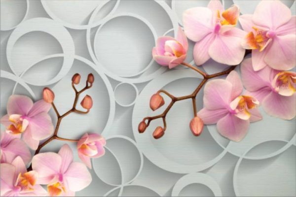 Фотошпалери Рожева орхідея та 3D кільця