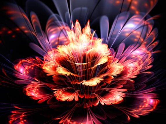 Фотошпалери Квітка з полум'я