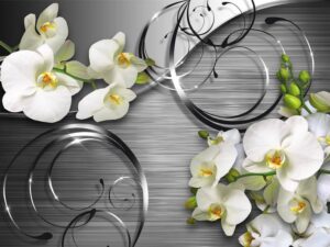Фотошпалери Біла орхідея на чорному тлі 3d
