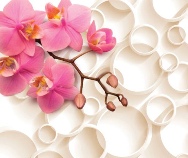 Фотошпалери Рожева орхідея 3D