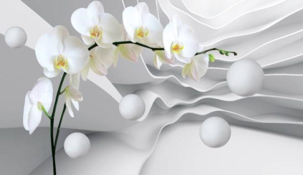Фотошпалери Орхідея на 3D фоні
