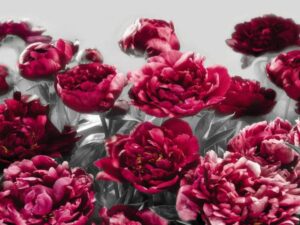 Фотошпалери Червоні квіти 3D