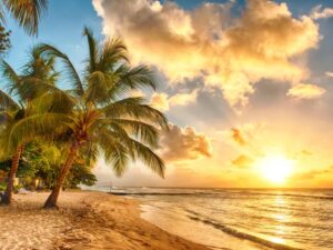 Фотошпалери Захід сонця на пляжі з пальмами