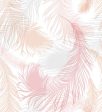 Фотошпалери Ніжні пір'я