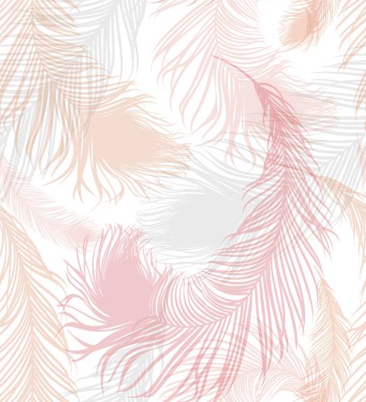 Фотошпалери Ніжні пір'я