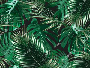 Фотошпалери Тропічні листя-20