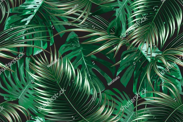 Фотошпалери Тропічні листя-20