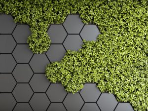 Фотошпалери 3D - Мох на чорному фоні