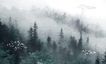 Фотошпалери Ліс на схилі