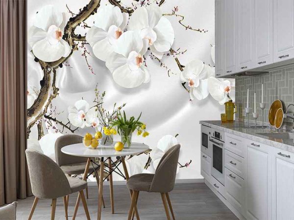 Фотошпалери Біла орхідея