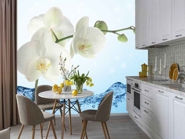 Фотошпалери Орхідея у воді