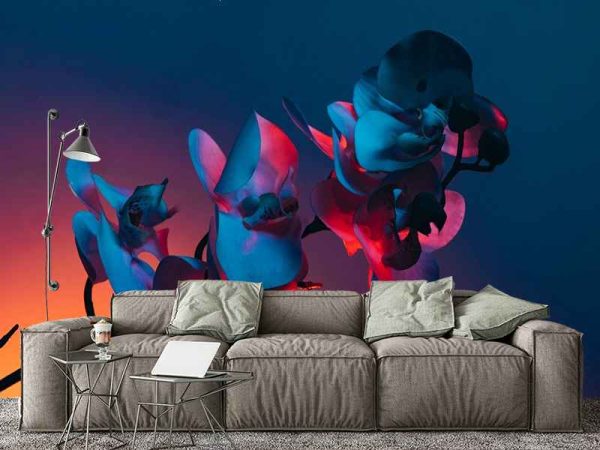 Фотошпалери Орхідея на темному фоні