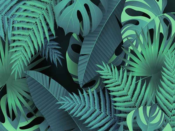 Фотошпалери Велике зелене листя