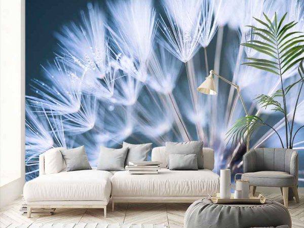 Фотошпалери Кульбабка