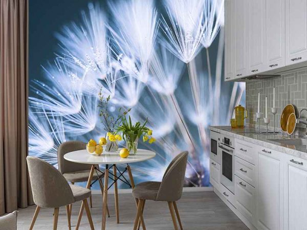 Фотошпалери Кульбабка