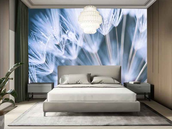 Фотошпалери Кульбабка