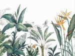 Фотошпалери Тропічні рослини