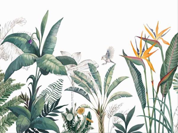 Фотошпалери Тропічні рослини