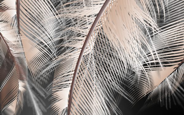 Фотошпалери Легкість бежевого пір’я