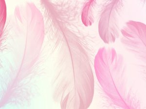 Фотошпалери Пір'я