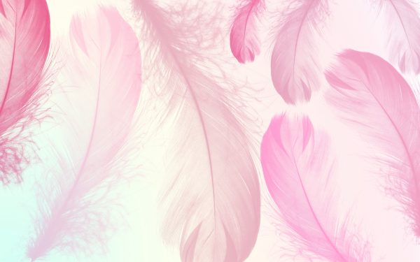 Фотошпалери Рожеве Пір'я