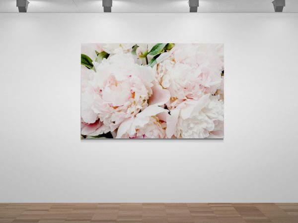 Картина на полотні  Рожеві Півонії