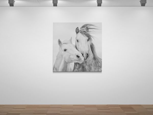 Картина на полотні Два Білих Коня