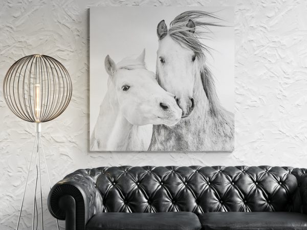 Картина на полотні Два Білих Коня