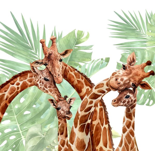 Фотошпалери Жирафи в Тропіках