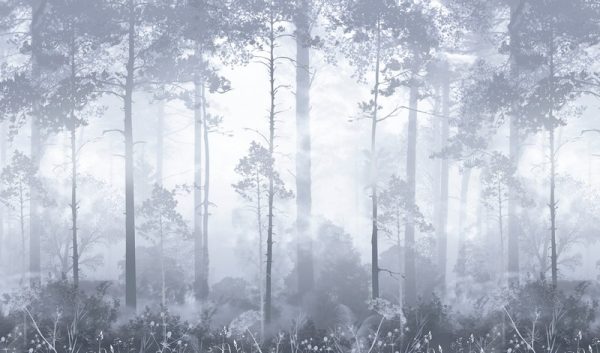 Фотошпалери Дерева в Синьому лісу