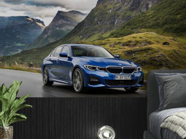 Фотошпалери Автомобіль в горах