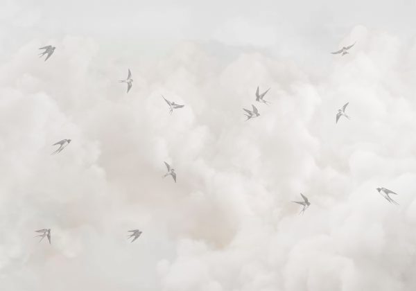 Фотошпалери Сірі ластівки у хмарах