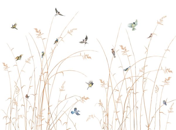 Фотошпалери Птахи на золотій траві