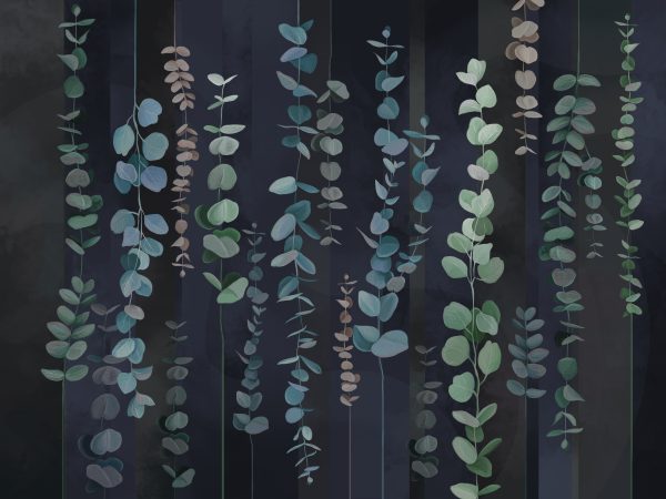 Фотошпалери Смарагдовий та синій евкаліпт на темному фоні