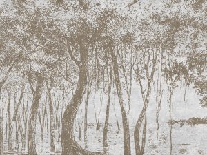 Фотошпалери Лісове дихання